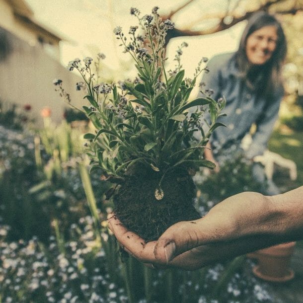 benefits of gardening