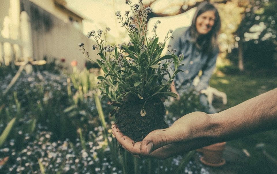 benefits of gardening