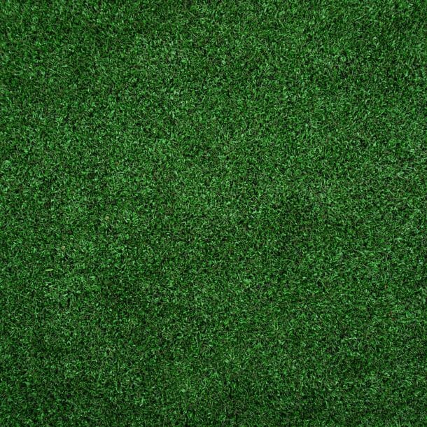 spring lawn care tips