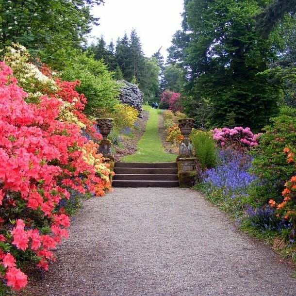 concrete landscape curbing