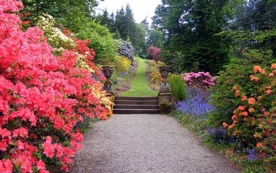 concrete landscape curbing