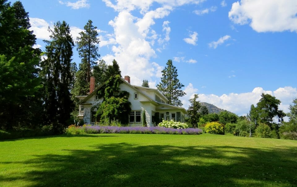Summer lawn