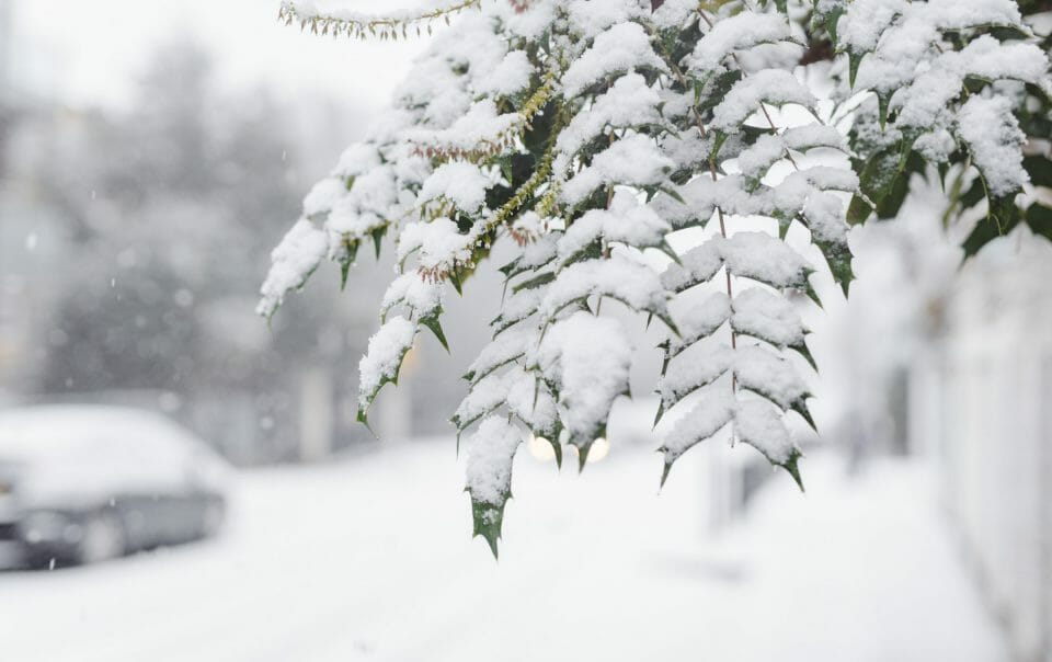 snow removal service