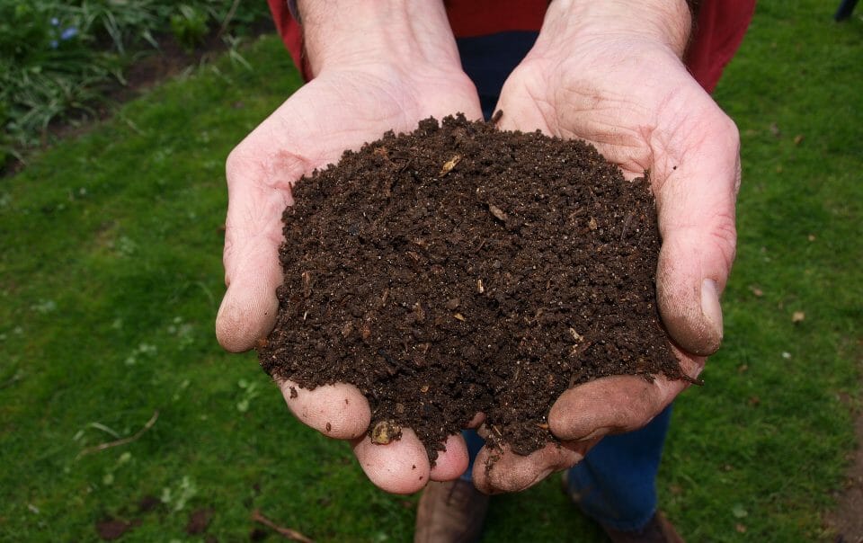 activated compost