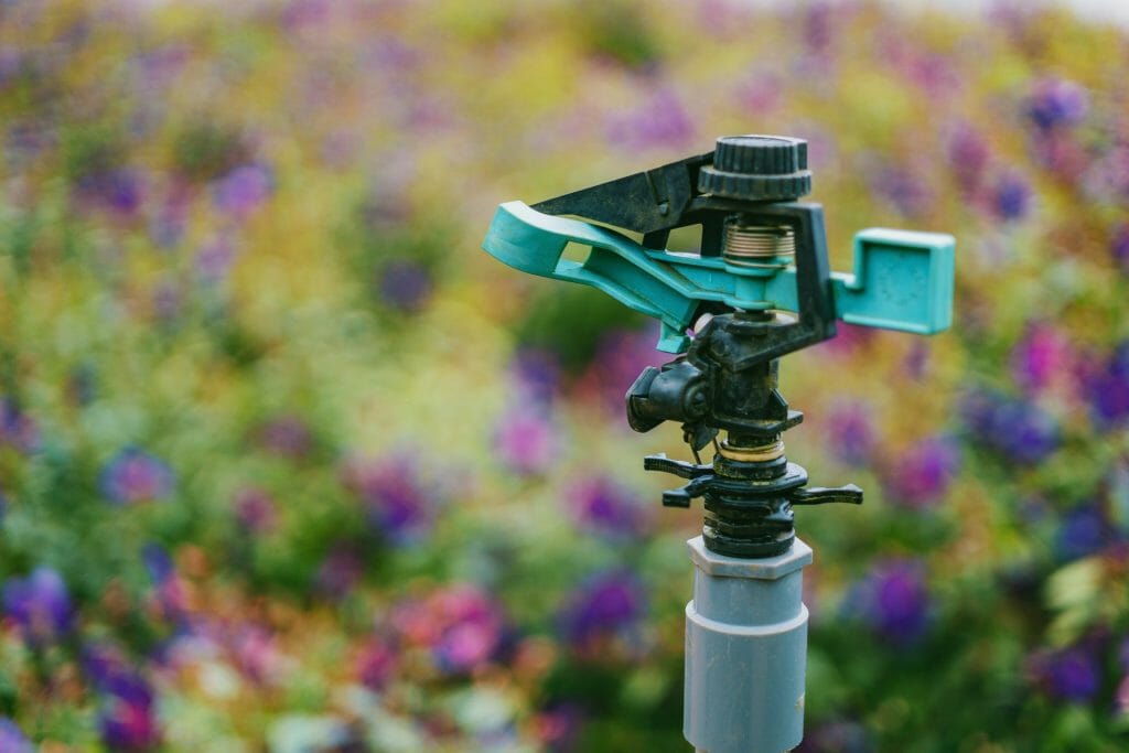 sprinkler system and landscaping