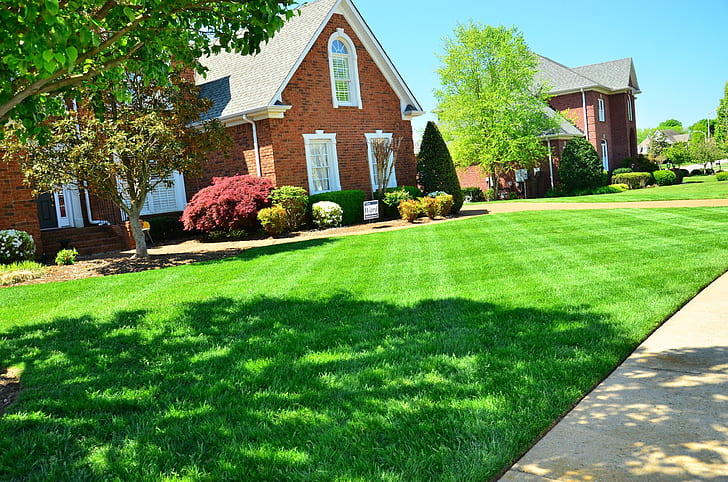 landscaping types